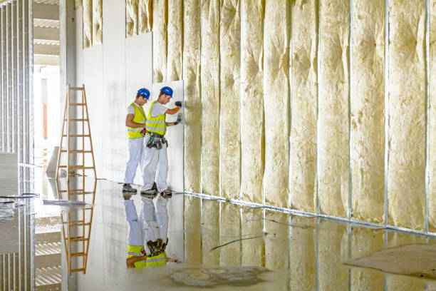 Best Residential Insulation in Montgomery, OH